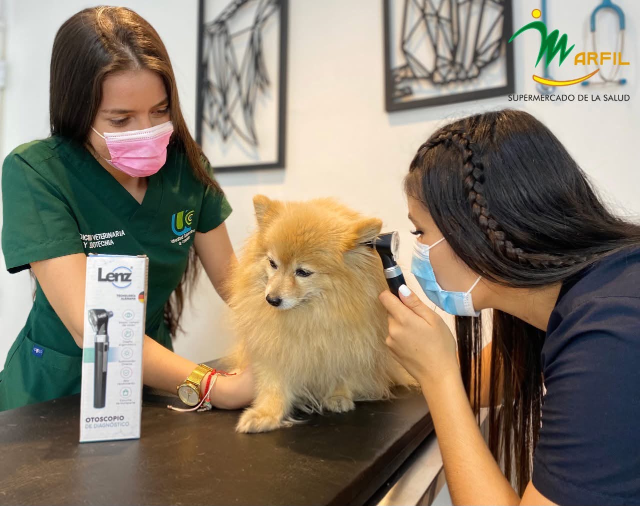 Atención veterinaria con productos Marfil